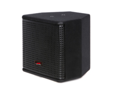 COMPACT 5" Professional coaxial speaker systems